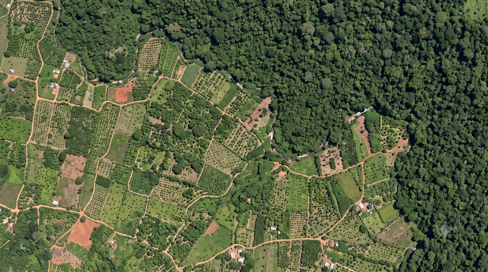 A cocoa-growing landscape at the forest edge in West Africa, mapping the boundary between plantation and forest
